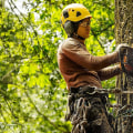 Why Tree Removal Services Are Essential For Safe Groundskeeping In Oregon City