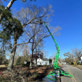 Transform Your Property: The Benefits Of Combined Tree Service And Groundskeeping In Albemarle County