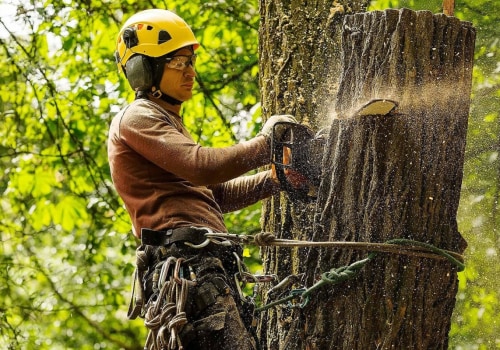 Why Tree Removal Services Are Essential For Safe Groundskeeping In Oregon City