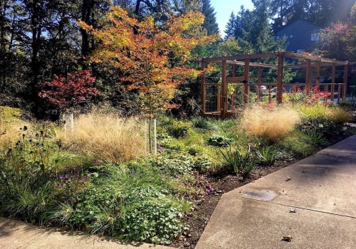 Invest In The Health And Beauty Of Your Landscape: Tree Service And Groundskeeping In Damascus, Oregon