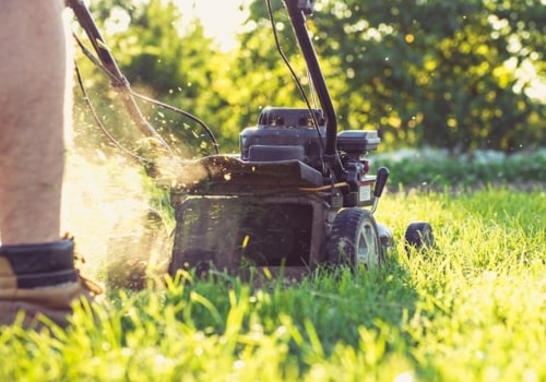 The Ultimate Guide To Yard Care Services In Pembroke Pines For Keeping Your Groundskeeping Immaculate