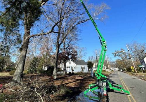 Transform Your Property: The Benefits Of Combined Tree Service And Groundskeeping In Albemarle County